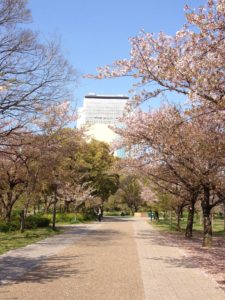 大阪城公園外堀