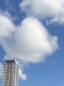 IMG_9264