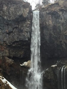 image1