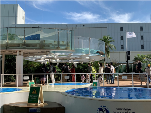 コロナの影響で水族館は人数制限をしているのため、普段よりも来場者数が少ない屋内の風景