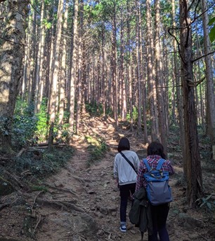 妹を先頭に母親が林の間の登山道を歩いている後ろ姿を撮影している。