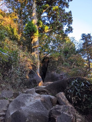 登山道の足元のごつごつした巨大な岩。