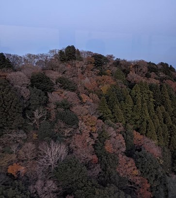 紅葉が彩る山の風景をロープウエイから撮影している。