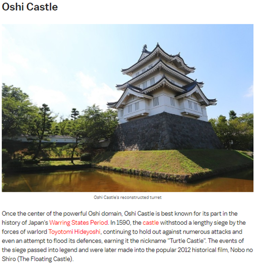 忍城の紹介では、城が豊臣秀吉の軍勢による水攻めに耐えたこと、それが由来で亀城という別名がついたこと、映画『のぼうの城』の舞台となったことなどが説明されている。