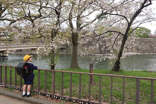 一番奥には大阪城、そしてお濠、お濠沿いに植えられた桜の木の下で大阪城を眺めている小学校1年生の男の子の後ろ姿(横写真)