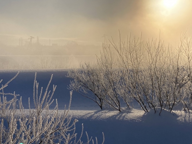 一面を雪が覆う大地の上を、霧がかかった朝日が照らす美しい風景