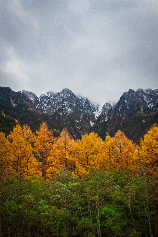 Picture I took in Kamikochi in 2021 - 2021年に上高地で撮った写真