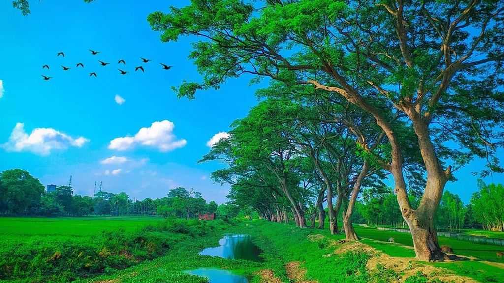 A village with green beauty