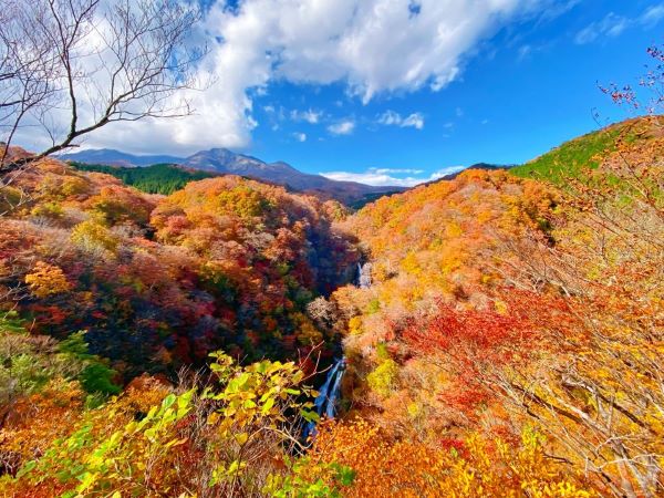 渓谷の山々が紅葉して、赤や黄色、緑が混ざり合っている。真ん中には川が流れ、奥には山が見える。